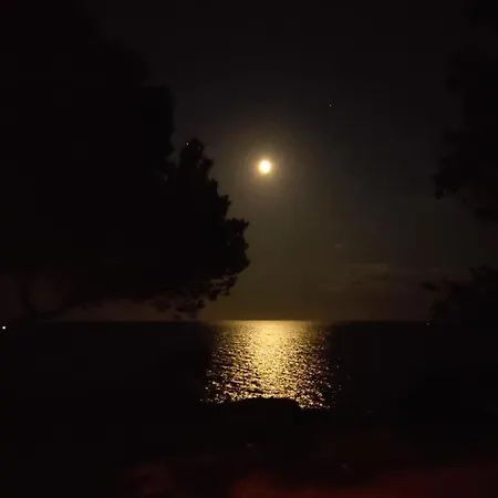 Rincon De Mar Lejlighed Calafat